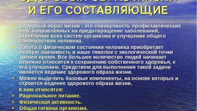 Photo of Основные принципы здорового образа жизни