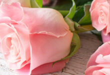 Photo of Революционные технологии в уходе за кожей