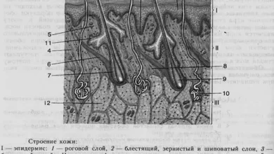Photo of Гидрофилинг кожи